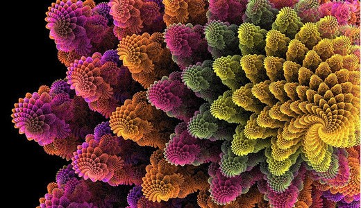 Прекрасные примеры фрактальных цветов.