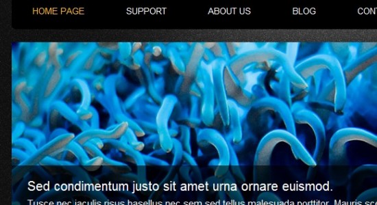 Скачать свежие CSS3 и HTML5 шаблоны для сайта