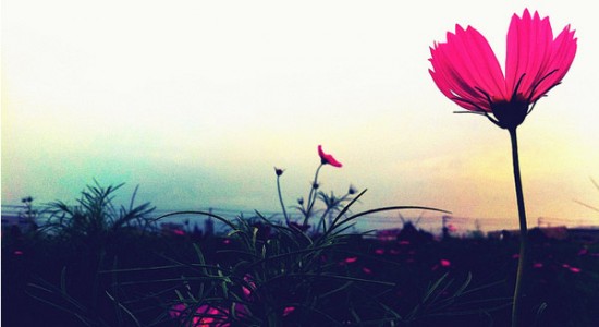 Удивительная подборка фотографий сделанных при помощи Iphone