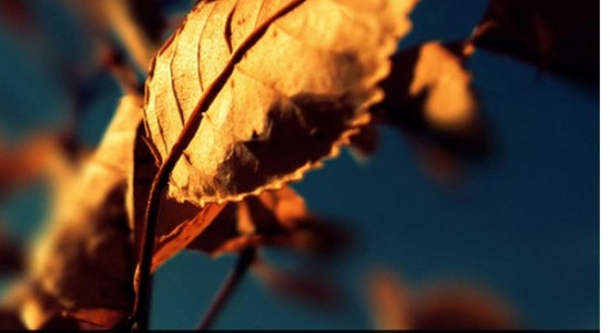 Бесплатные слайдеры изображений с использованием CSS3 и jQuery