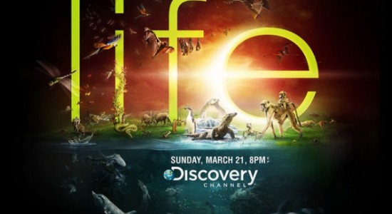 Удивительно красивые примеры типографической рекламы в прессе